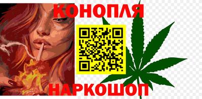 прущие грибы Краснодар