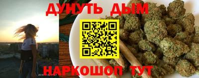 прущие грибы Краснодар
