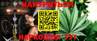 прущие грибы Краснодар